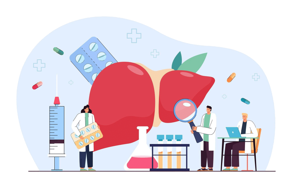 ilustrasi organ hati atau liver (freepik.com/pch.vector)