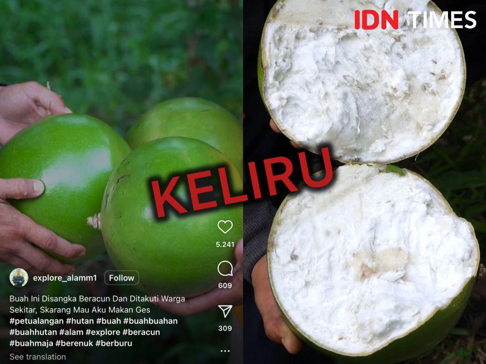[Cek Fakta] Narasi Buah Maja atau Berenuk Bisa Dimakan