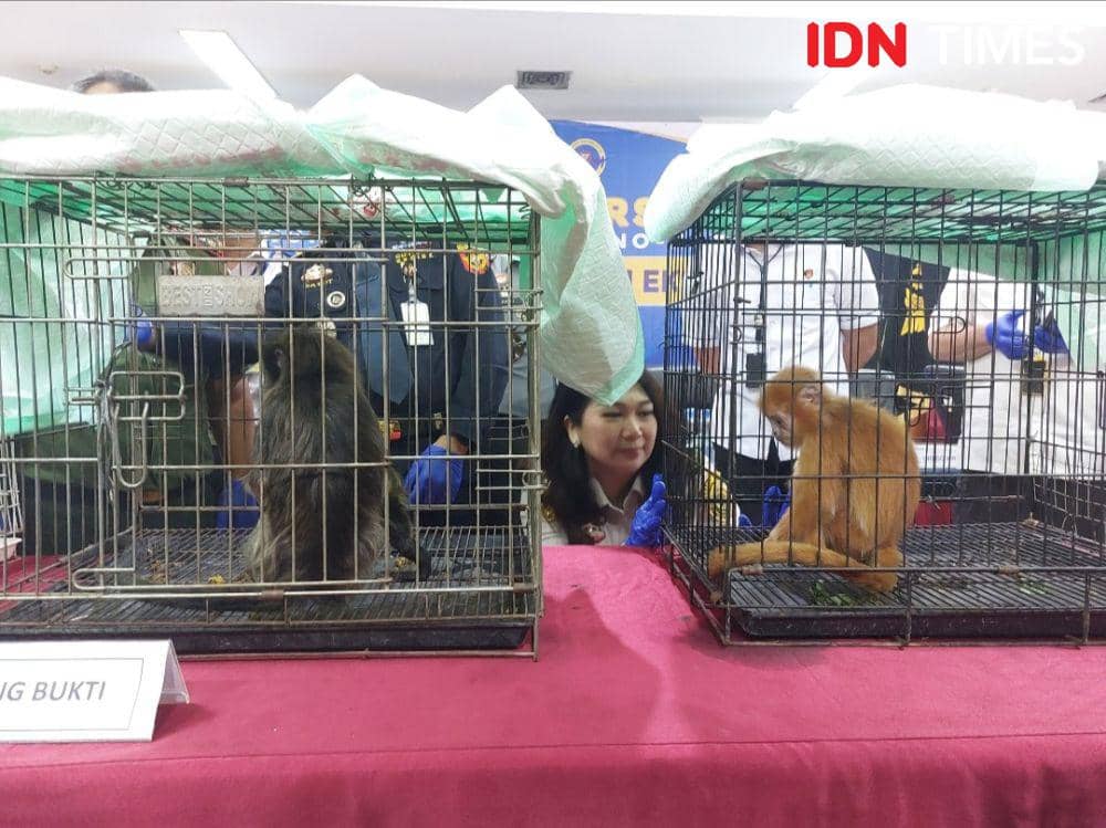IDN Times/Maya Aulia Aprilianti