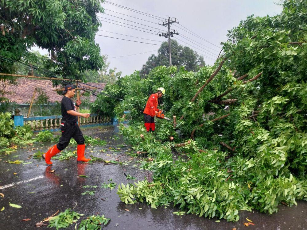 Kerugian Bencana di Jogja Bulan Oktober-November Capai Ratusan Miliar