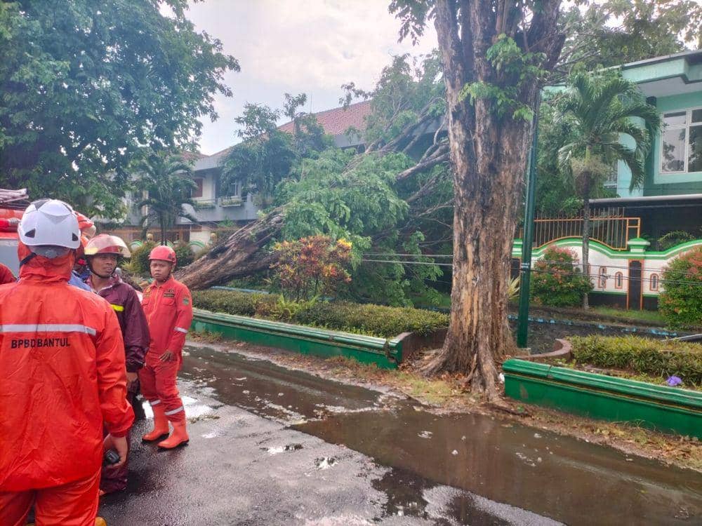 Pohon tumbang timpa bangunan SMAN1 Bantul.(BPBD Bantul)