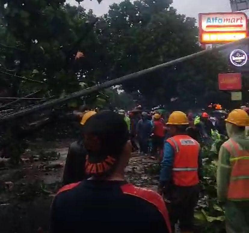 Pohon tumbang di Sukabumi (IDN Times/Istimewa)