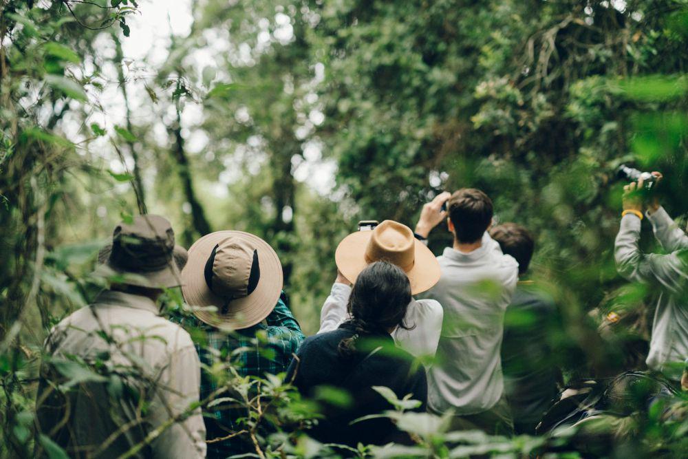 Berapa Kisaran Harga Tur Safari di Afrika? Siapkan Bujet Segini!