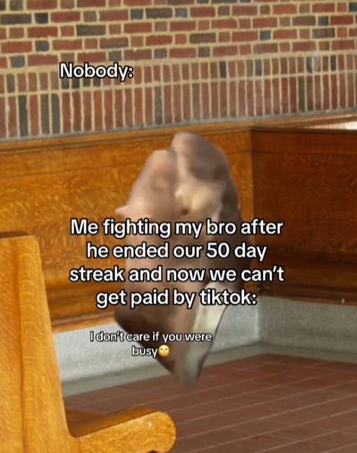 meme api streak TikTok (tiktok.com/therapdimension)