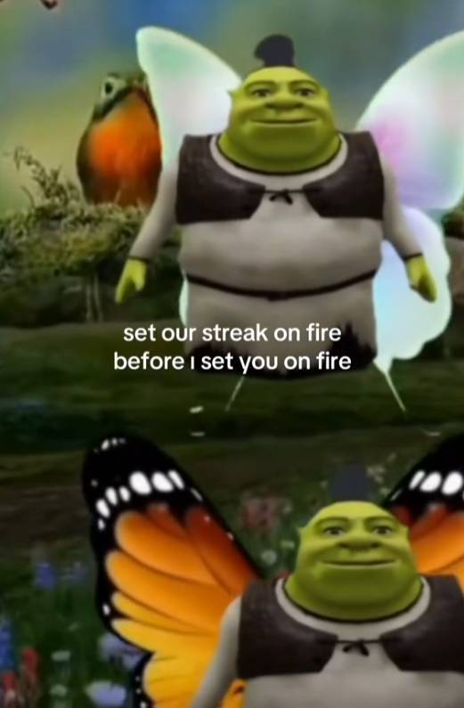 meme api streak TikTok (tiktok.com/doyourstreaks17)