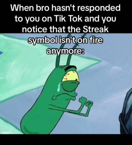 meme api streak TikTok (tiktok.com/_gerahhh)