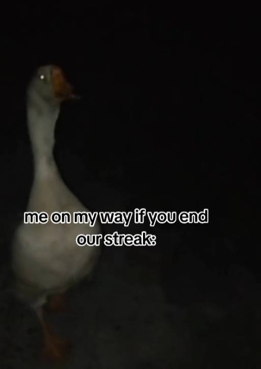 meme api streak TikTok (tiktok.com/picklepie214)
