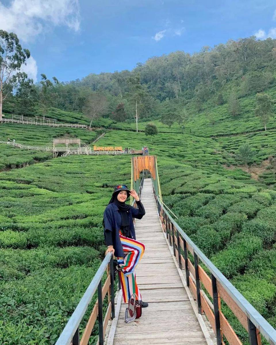 Bukit Jamur Rancabolang (instagram.com/risdaatsary)