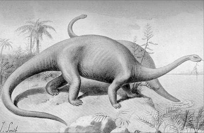 ilustrasi Mokele-Mbembe (Thoughtco.com)