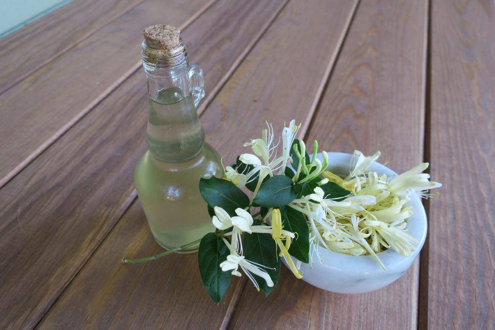 ilustrasi sirup vanila (pixabay.com/bookishreviewgilrisawsome)