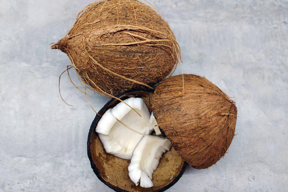 Peneliti BRIN Ubah Kelapa jadi Bahan Bakar Bakar Ramah Lingkungan