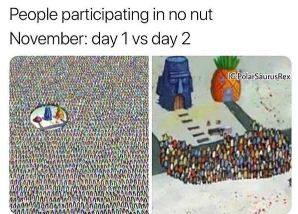 meme No Nut November (reddit.com/heykid_put_thatdown)