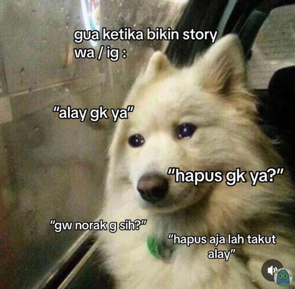 meme kebiasaan hapus story media sosial (x.com/tanyarlfes)