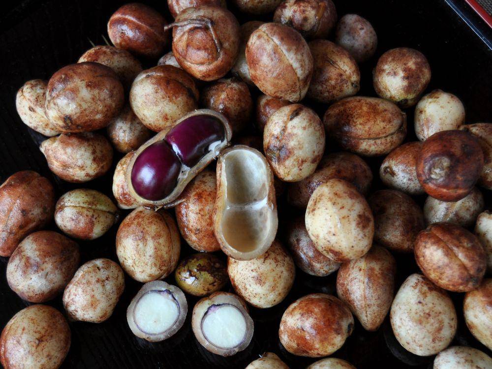 Kacang Bogor (https://id.wikipedia.org/wiki/Kacang_bogor)