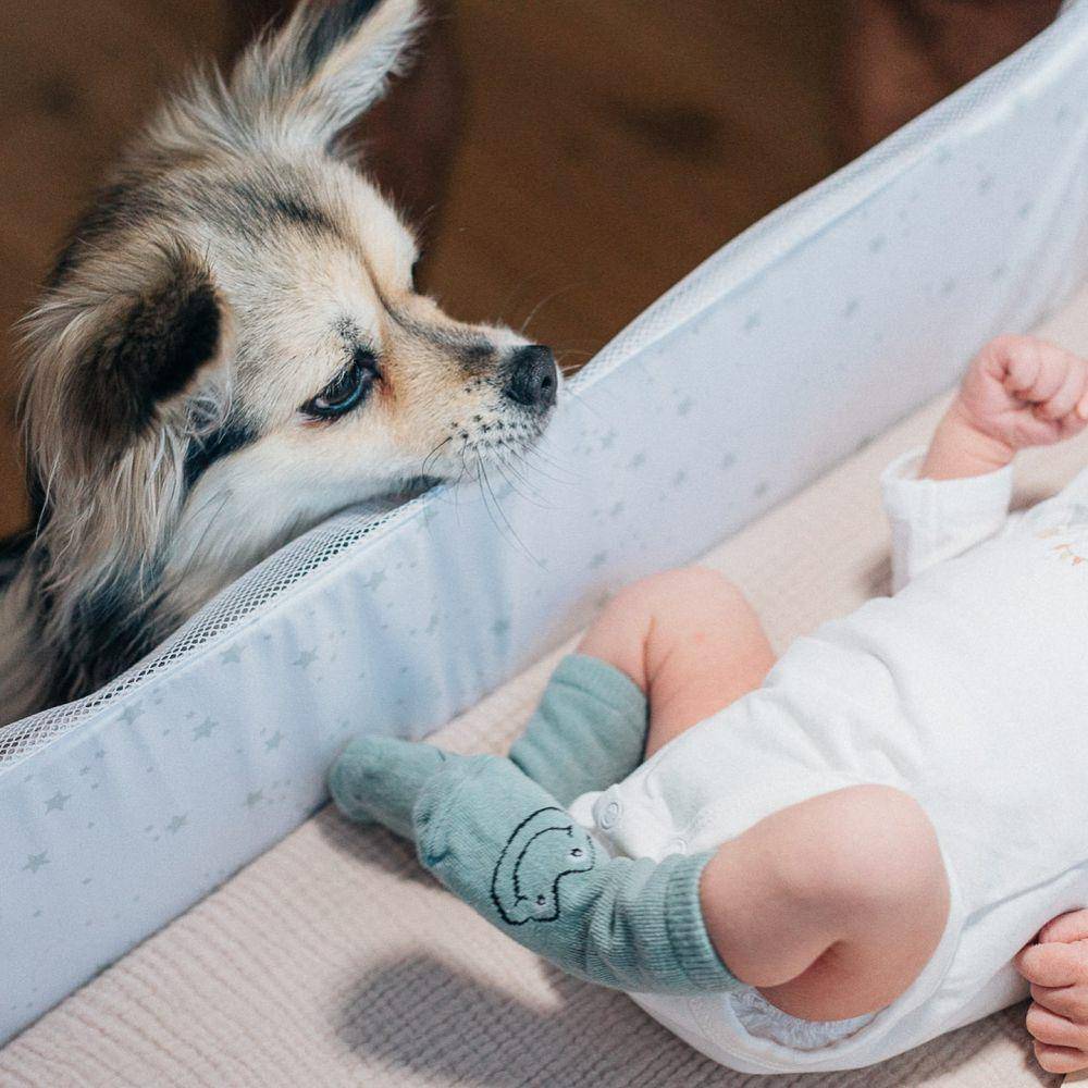Beenzino dan Stefanie Michova menyambut anak pertama (Instagram.com/stefaniemichova)
