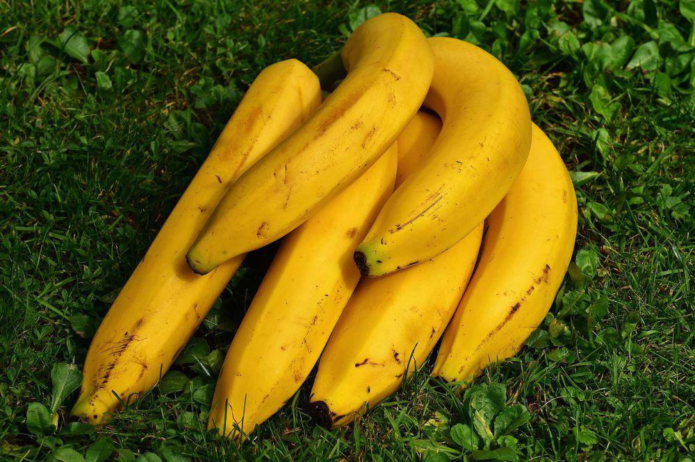 ilustrasi bahan membuat kroket pisang (pixabay.com/Alexas_fotos)