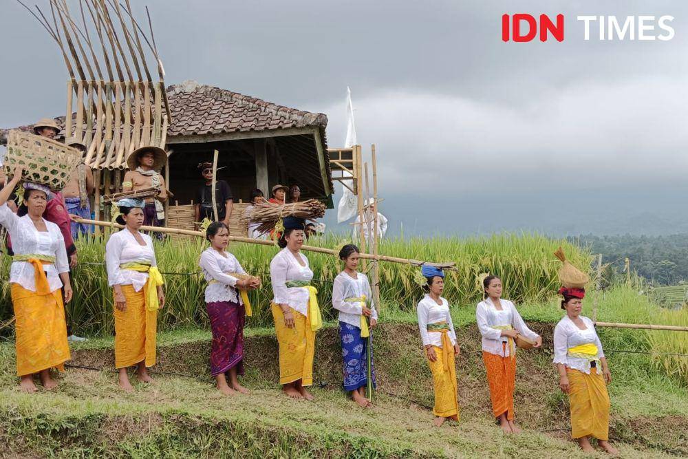 Subak Spirit di Jatiluwih (IDN Times/Ayu Afria)