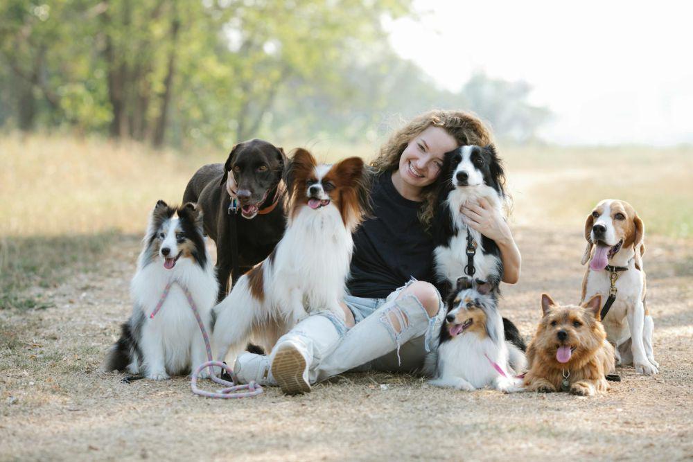 7 Ras Anjing yang Lemah Lembut, Cocok Jadi Teman Bermain