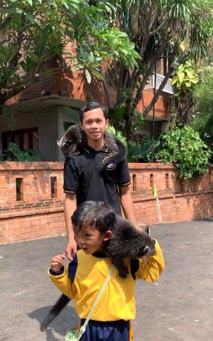 potret anak TK wisata di rumah Irfan Hakim (instagram.com/irfanhakim75)