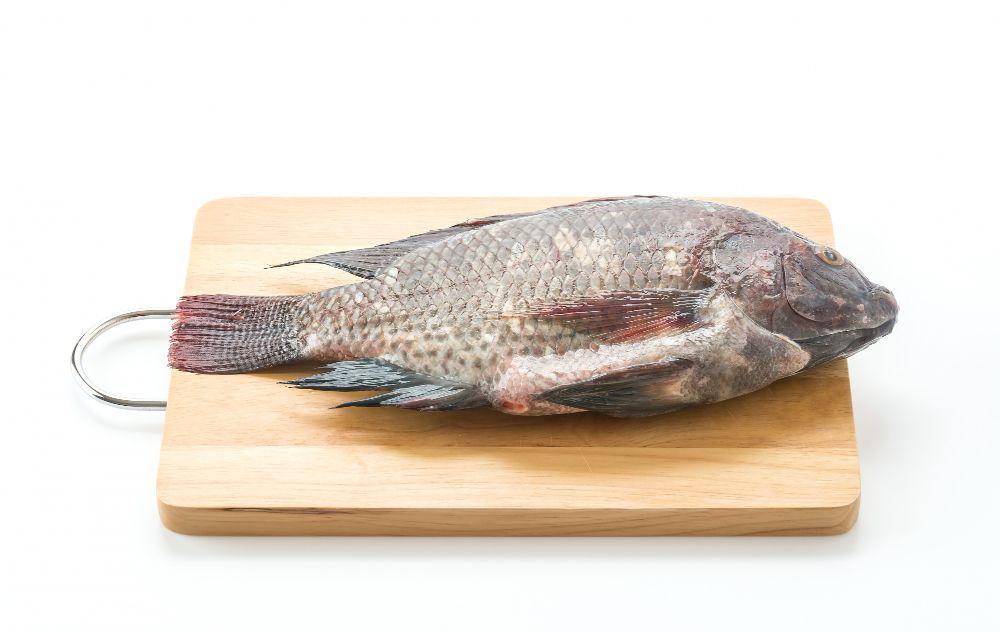 6 Ikan Air Tawar yang Cocok untuk MPASI Si Kecil, Mudah Dicari!