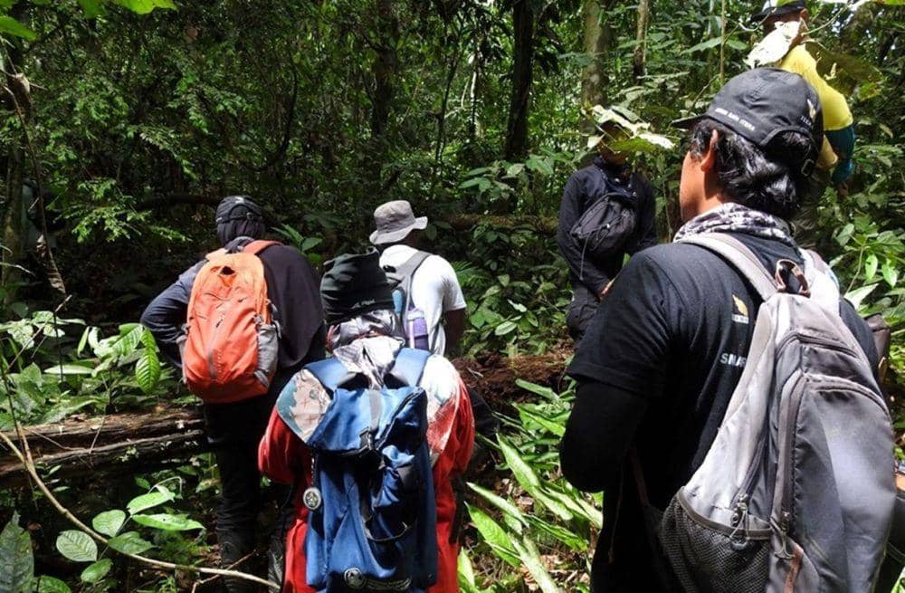 Tim eksplorasi Itera mengumpulkan 100 spesies tumbuhan Sumatera (dok/itera.ac.id)