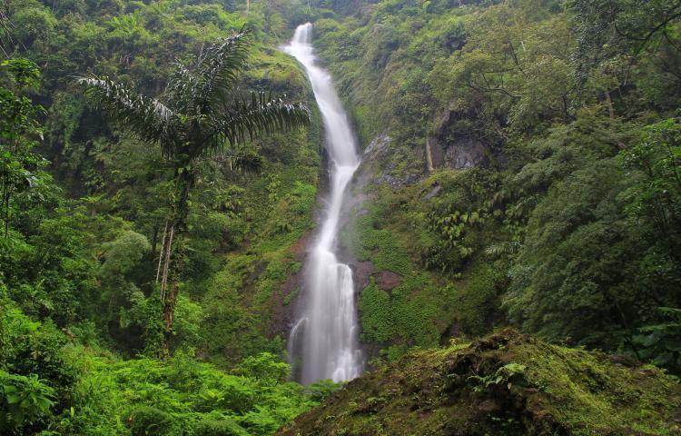 10 Tempat Wisata di Subang yang Lagi Hits