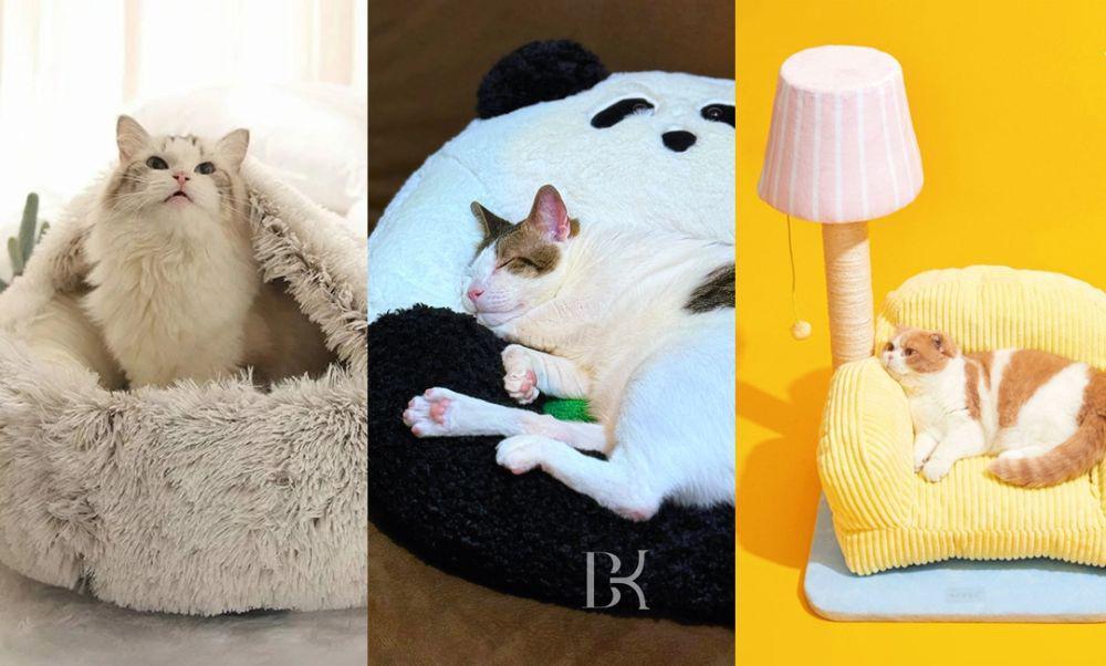 10 Rekomendasi Kasur Kucing, Ada Kasur Panda Milik Bobby Kertanegara