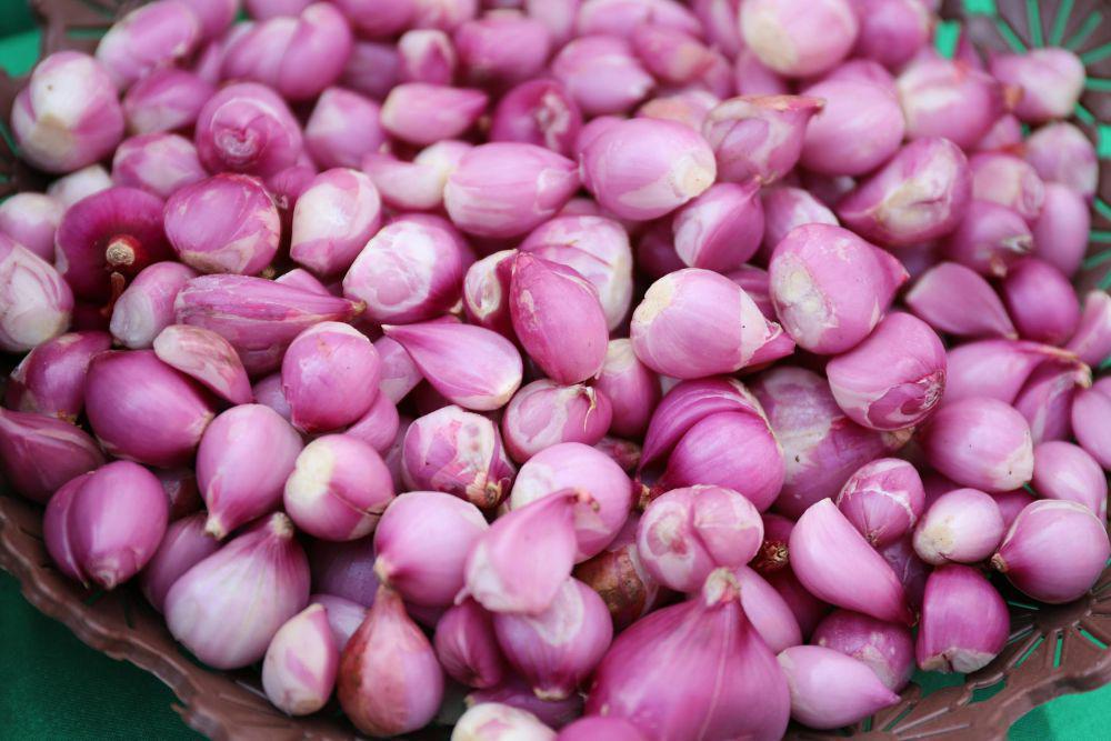 Kemendagri Imbau Pemda Kendalikan Harga Bawang Merah
