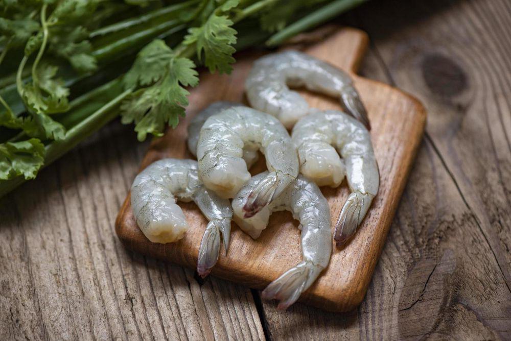 Ilustrasi udang (vecteezy.com/bigcxlotus)