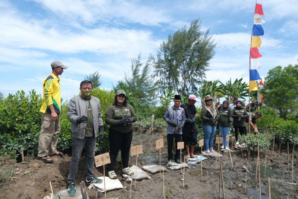 PNM Medan Lakukan Penanaman 5 Ribu Batang Mangrove di Langkat