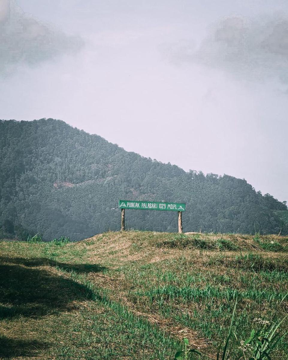Informasi Wisata Puncak Palasari Bogor: Lokasi, HTM dan Rute Pendakian