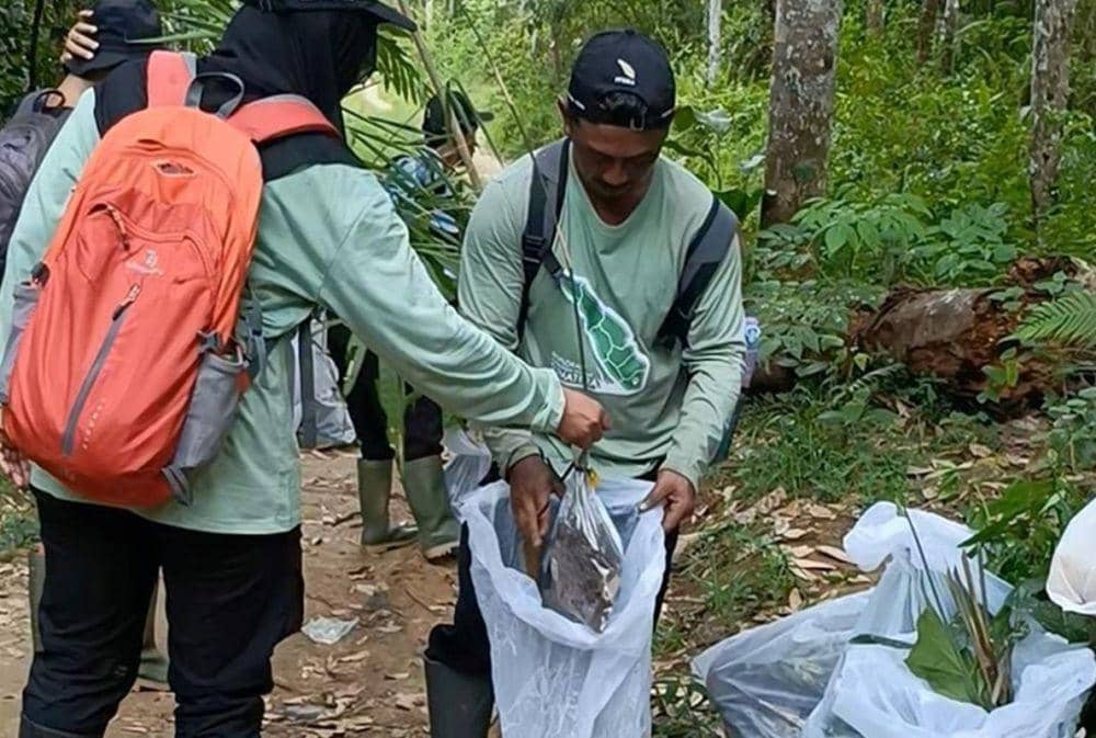 Tim eksplorasi Itera mengumpulkan 100 spesies tumbuhan Sumatera (dok/itera.ac.id)