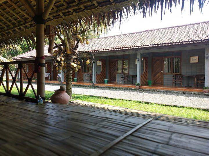 Amazon Bungalow and Cottages (google.com/maps/Amazon Bungalow and Cottages - Batukaras