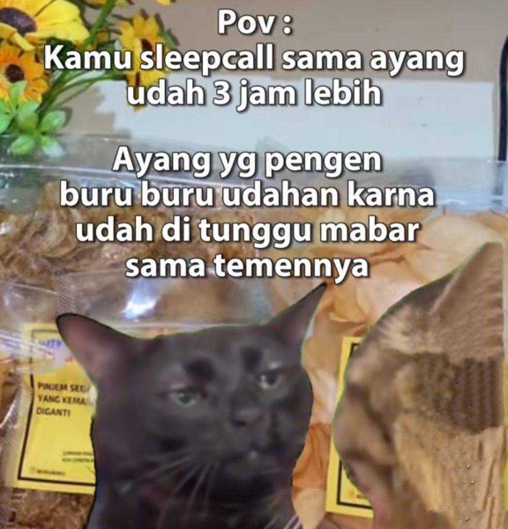 meme sleep call (tiktok.com/ig.wiikuwiku)