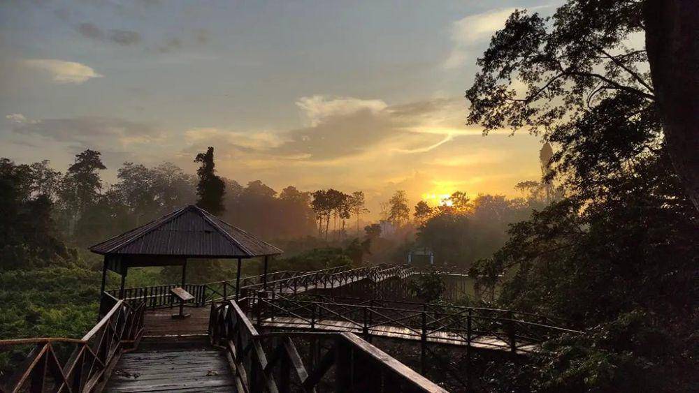 Taman Nasional Kutai (kaltimprov.go.id/Portal Kaltim)