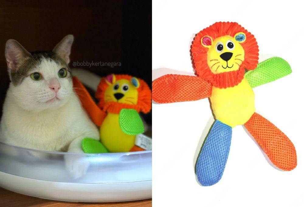 mainan Bobby Kertanegara (instagram.com/bobbykertanegara | lazada.co.id/Pet Kingdom)