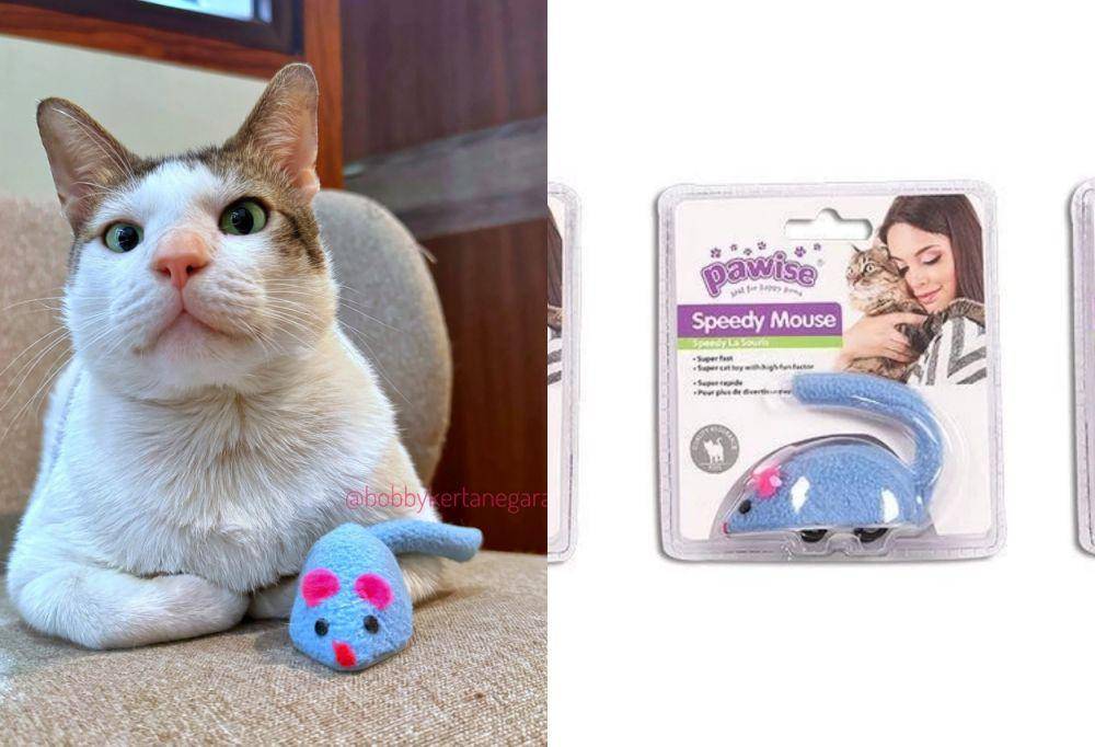 mainan Bobby Kertanegara (instagram.com/bobbykertanegara | shopee.co.id/Pet Kingdom Official Shop)