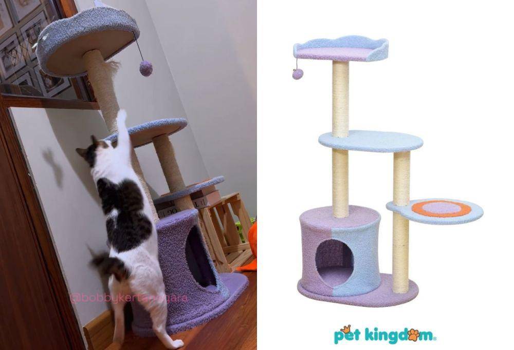 mainan Bobby Kertanegara (instagram.com/bobbykertanegara | shopee.co.id/Pet Kingdom Official Store)