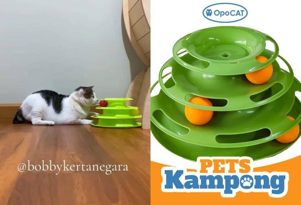 mainan Bobby Kertanegara (instagram.com/bobbykertanegara | shopee.co.id/Pets Kampong Official Shop)