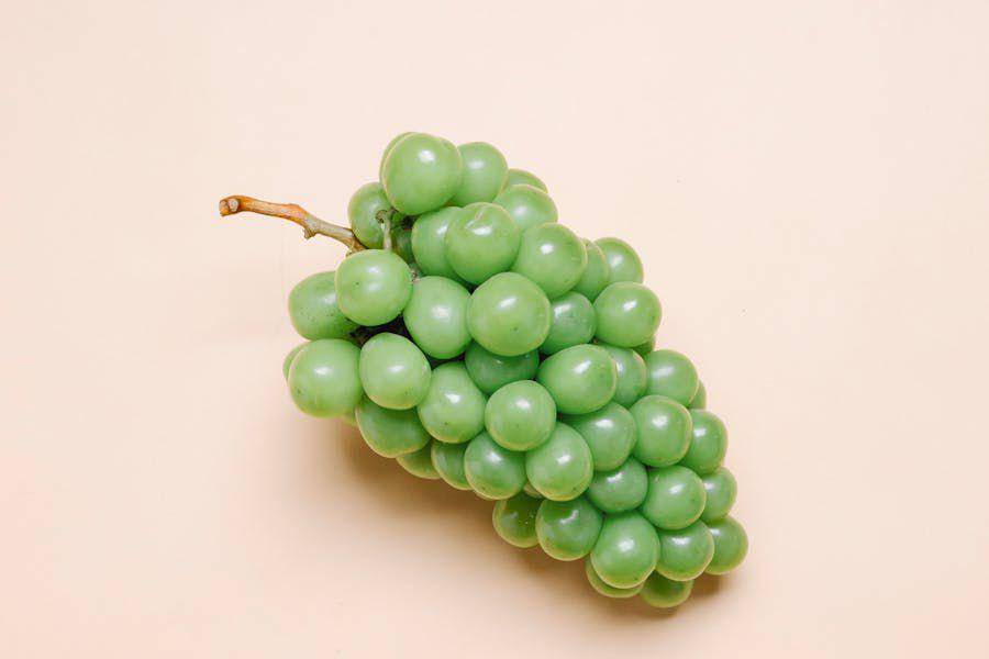 ilustrasi grape muscat (Pexels/Any Lane)
