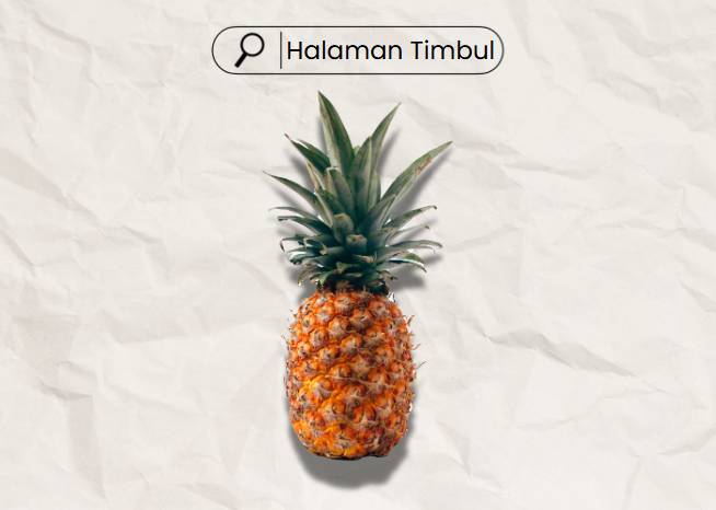 ilustrasi efek bayangan halaman timbul (dok. pribadi)