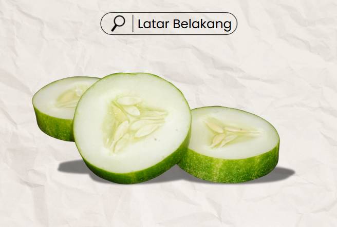 ilustrasi efek bayangan latar belakang (dok. pribadi)