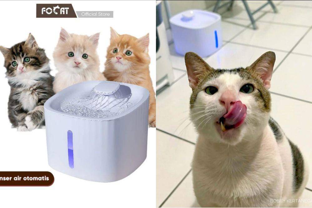 FOCAT Dispenser Otomatis M04 (shopee.co.id/focatofficialstore | instagram.com/bobbykertanegara)