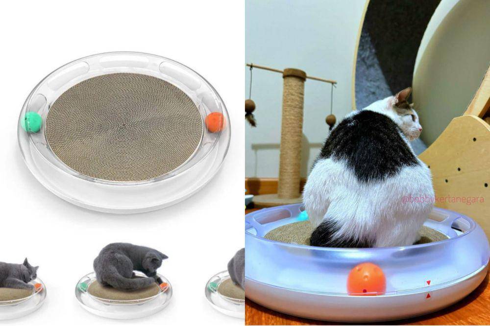 PETKIT 4in1 Fun Cat Scratcher (shopee.co.id/petkitindonesia| instagram.com/bobbykertanegara)