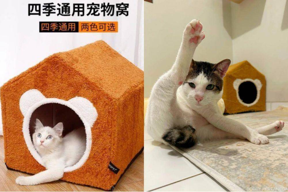 Rocco Petshop tempat tidur bentuk rumah edisi rakit (shopee.co.id/roccopetshop | instagram.com/bobbykertanegara)
