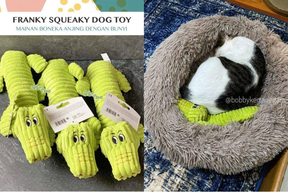 Hellopaws Franky Squeaky Toy (shopee.co.id/hellopawsid | instagram.com/bobbykertanegara)