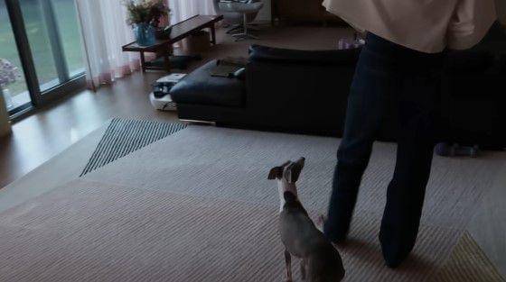 Rumah Gong Hyo Jin (youtube.com/@SKYKONGKONGKONG)