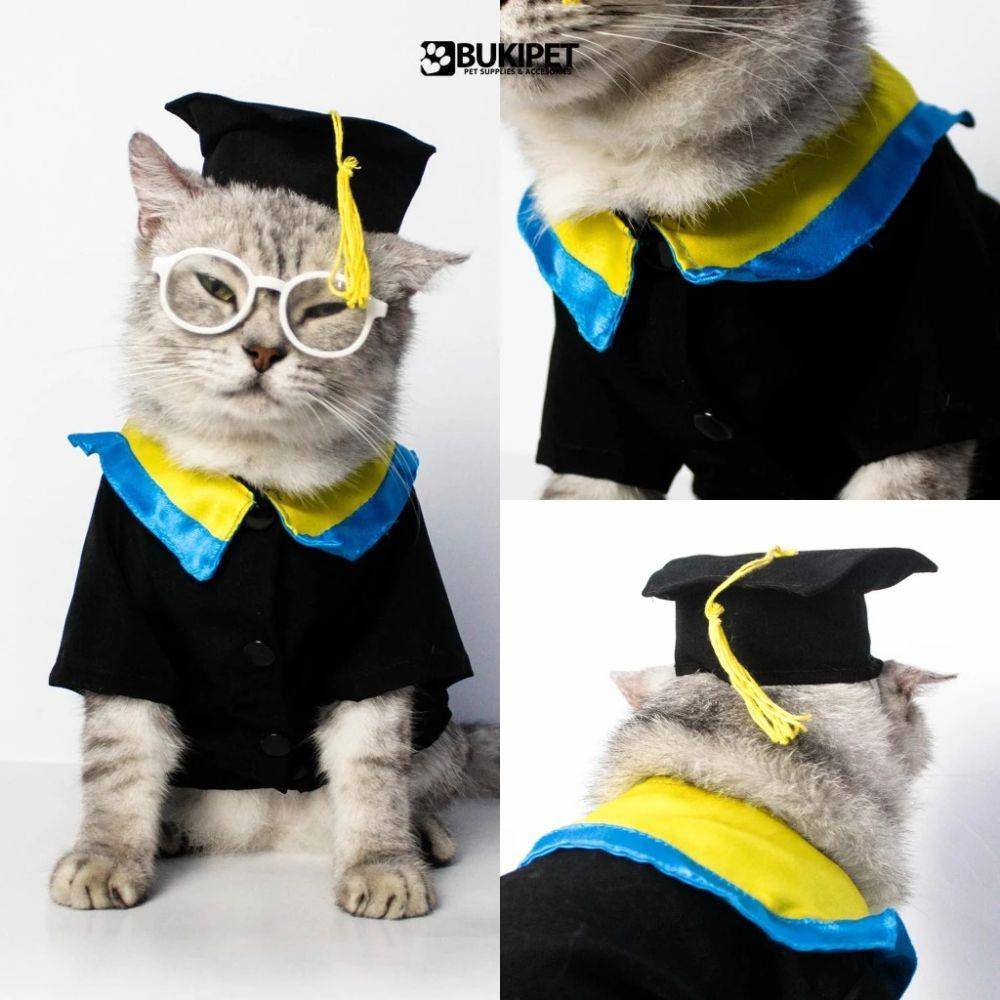 rekomendasi baju kucing lucu dan murah (shopee.co.id/BUKIPET Official Shop)