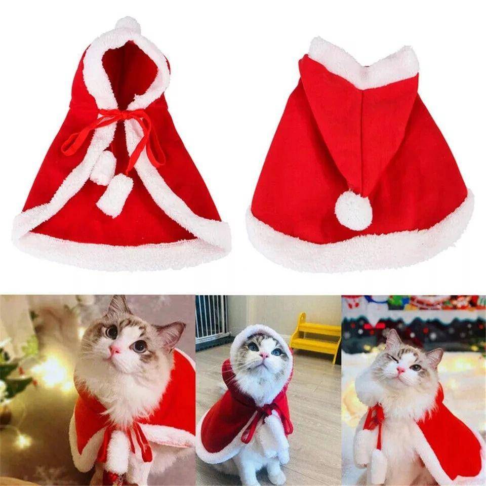 rekomendasi baju kucing lucu dan murah (shopee.co.id/Dj Pets)