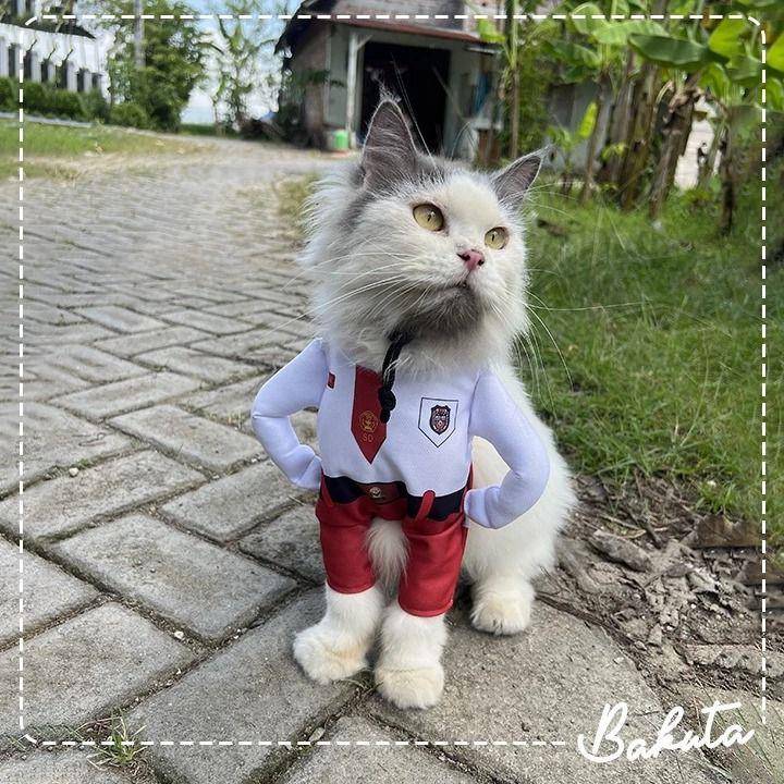 rekomendasi baju kucing lucu dan murah (shopee.co.id/Baju Kucing Tangerang)